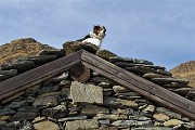 Rifugio Balicco (1995 m) e Bivacco Zamboni (2007 m) ad anello il 1 aprile 2019 - FOTOGALLERY